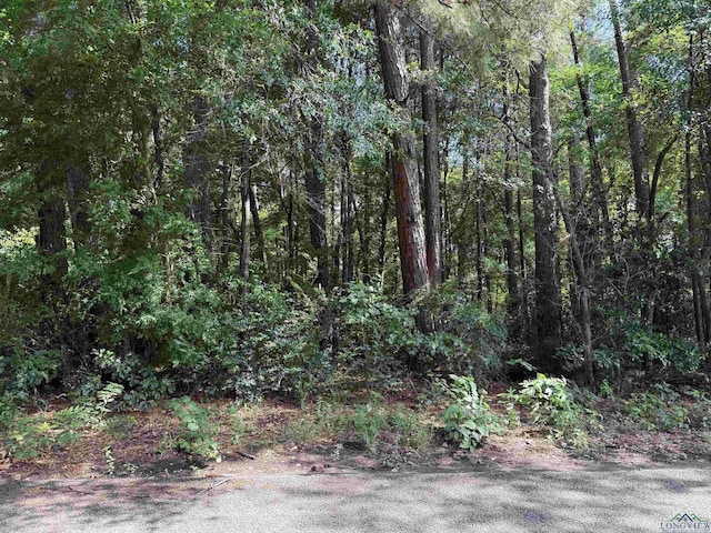 801 Ethel St, Longview, TX 75602 - photo 1