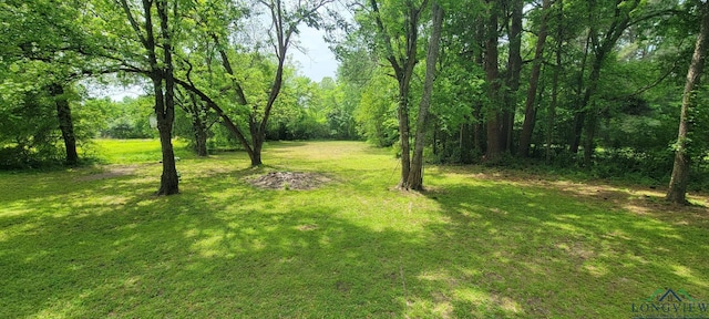 414 E Main St, Omaha, TX 75571 - view of grassy yard with a wooded view