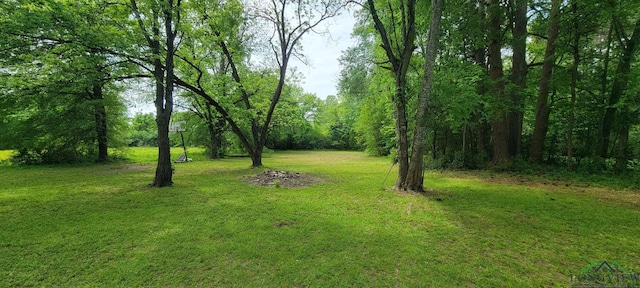 414 E Main St, Omaha, TX 75571 - view of grassy yard featuring a view of trees