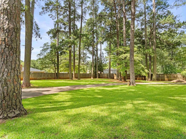 1405 Rutledge Ave, Daingerfield, TX 75638 - photo 24