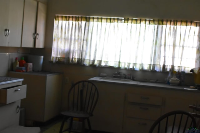 kitchen featuring a healthy amount of sunlight and sink