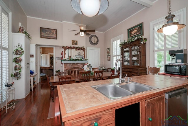 kitchen featuring stainless steel dishwasher, tile counters, dark hardwood / wood-style flooring, and sink