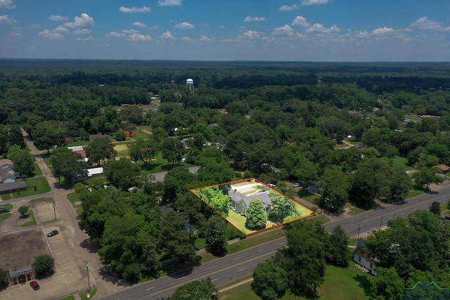 bird's eye view