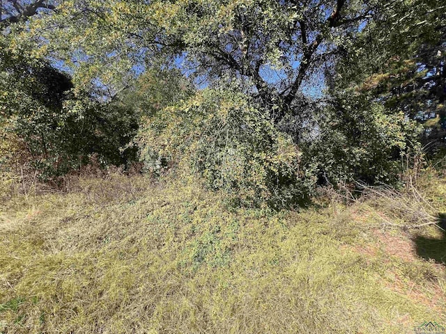 101 Hohman St, Ore City TX, 75683 land for sale