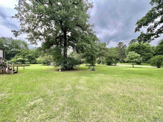 95 Montgomery St, Avinger, TX 75630 - view of green lawn