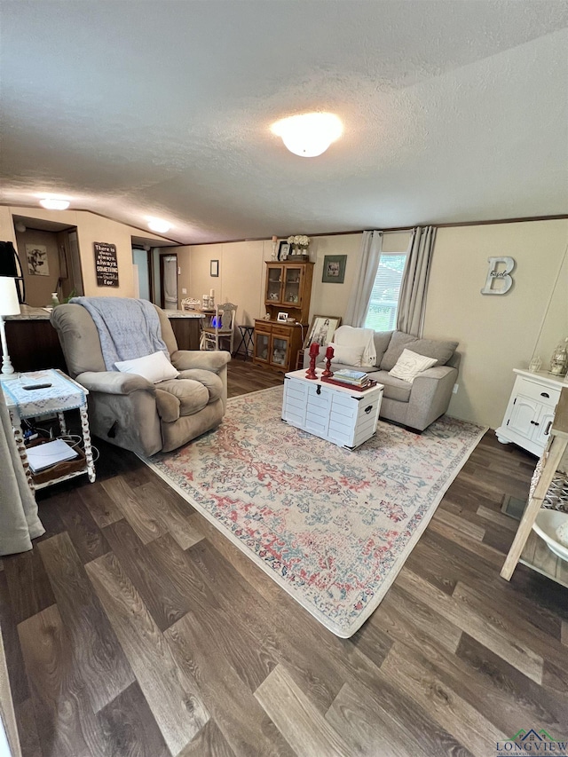 95 Montgomery St, Avinger, TX 75630 - living room with a textured ceiling, dark wood-type flooring, and vaulted ceiling