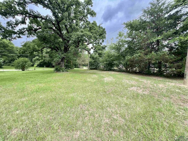 95 Montgomery St, Avinger, TX 75630 - view of grassy yard