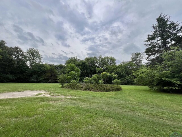 95 Montgomery St, Avinger, TX 75630 - view of grassy yard with a view of trees