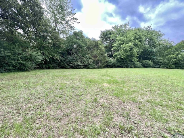 95 Montgomery St, Avinger, TX 75630 - view of green lawn with a view of trees