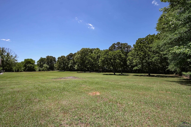 view of grassy yard