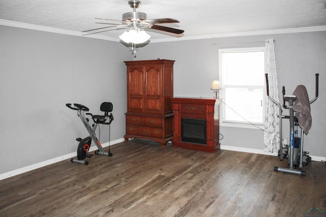 exercise area with ornamental molding, dark hardwood / wood-style floors, and ceiling fan