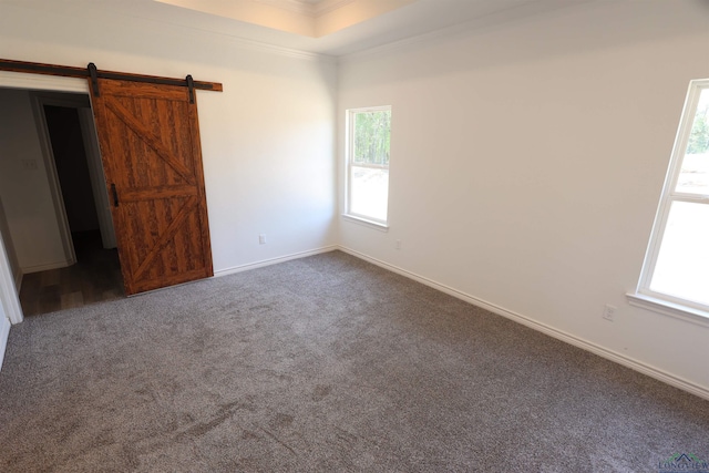 carpeted empty room featuring a tray ceiling, a barn door, and plenty of natural light