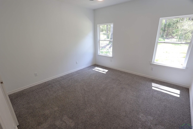 empty room with carpet floors and a healthy amount of sunlight