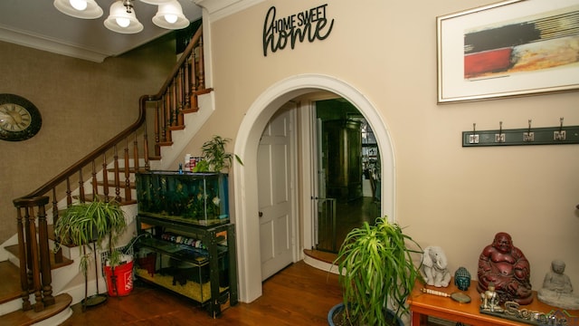 interior space with dark hardwood / wood-style flooring and crown molding