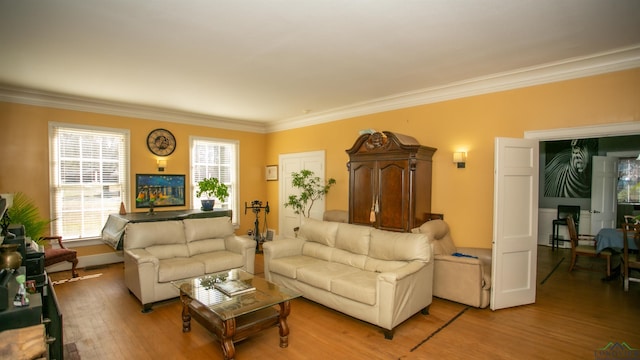 living room with ornamental molding, light hardwood / wood-style floors, and a healthy amount of sunlight