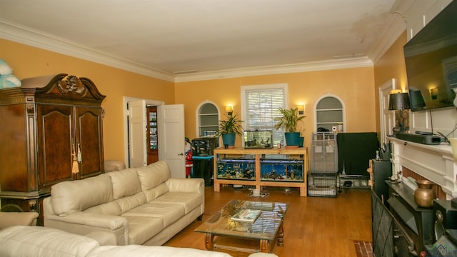 living room with hardwood / wood-style flooring and crown molding