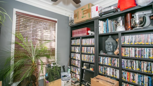 living area featuring ceiling fan and crown molding