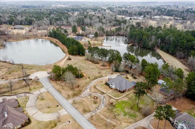 1928 Eastwood Dr, Henderson, TX 75652 - aerial view of property and surrounding area featuring a nearby body of water and a forest