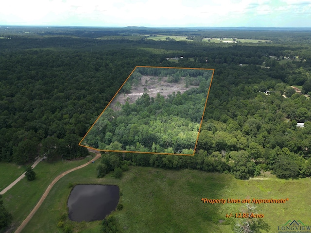 Listing photo 2 for Flamingo Rd, Gilmer TX 75645