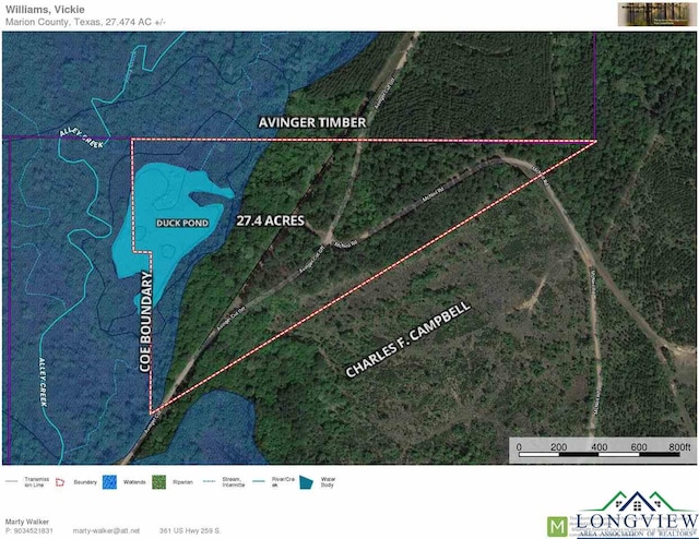 2200 Mcneil Rd, Avinger TX, 75630 land for sale