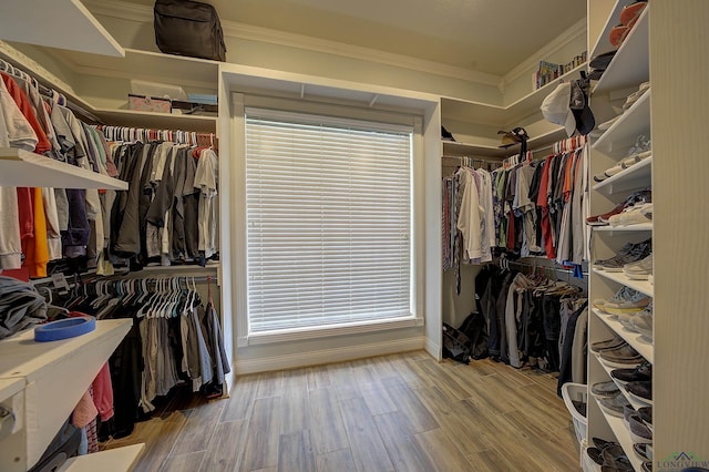 36 Briarwood Cir, Texarkana, TX 75503 - walk in closet featuring wood finished floors
