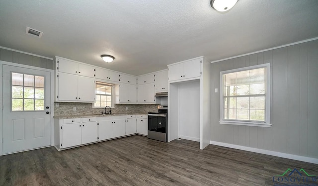 kitchen featuring white cabinetry, electric range, sink, and a healthy amount of sunlight