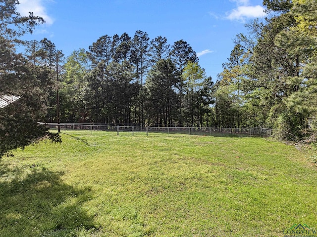 653 County Road 3639, Big Sandy, TX 75755 - photo 28
