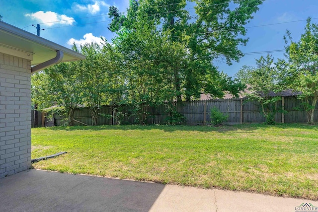 view of yard featuring a fenced backyard