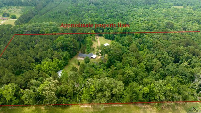 377 E Cargill Rd, Marshall, TX 75672 - photo 42