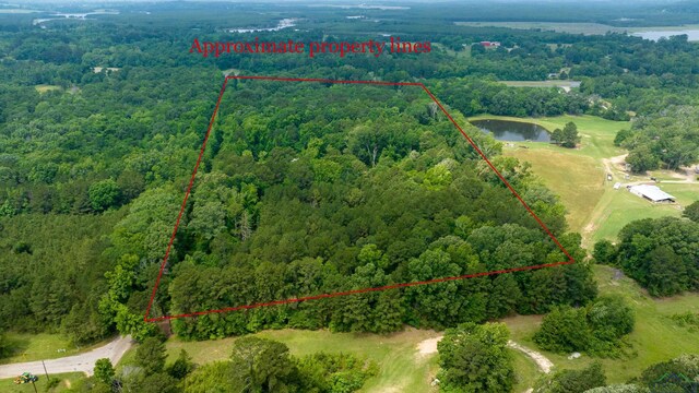 377 E Cargill Rd, Marshall, TX 75672 - photo 39