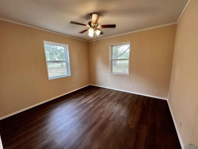 spare room featuring a wealth of natural light, crown molding, and dark hardwood / wood-style floors