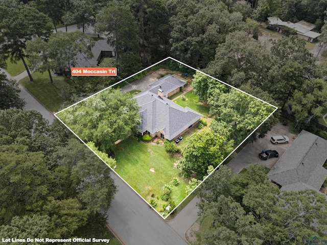 404 Moccasin Trl, Kilgore, TX 75662 - photo 42