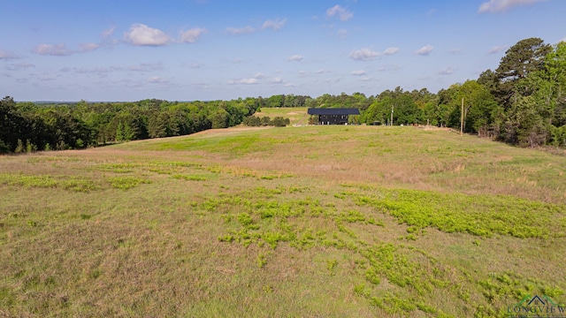 1113 Firetower Rd, Hallsville, TX 75650