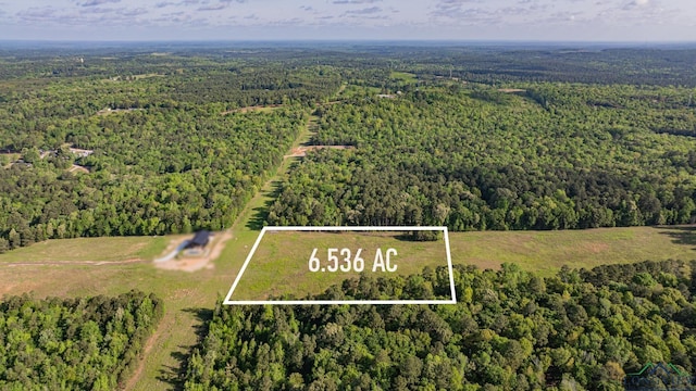 1113 Firetower Rd, Hallsville, TX 75650