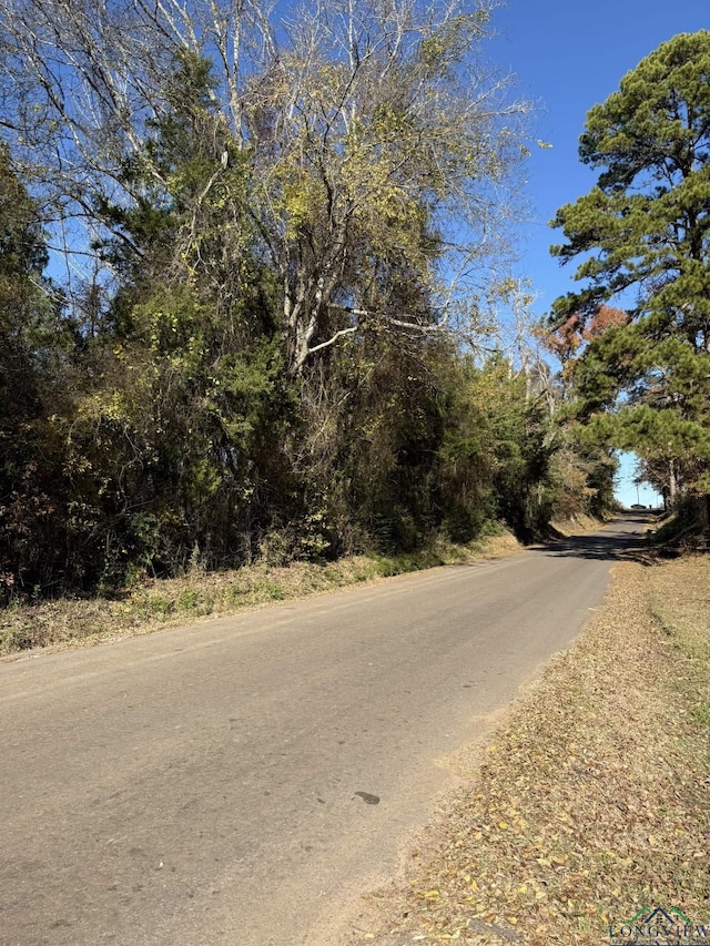 Listing photo 3 for TBD W Bluebird Rd, Gilmer TX 75645