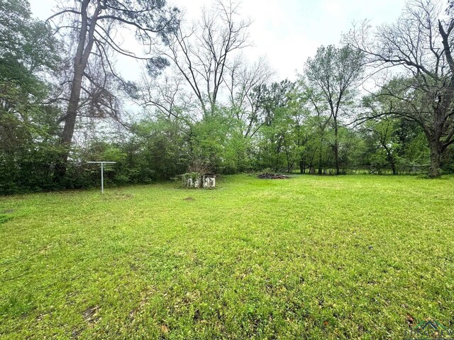 308 E 14th St, Mount Pleasant, TX 75455 - view of yard