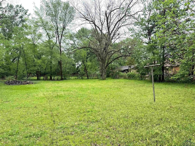 308 E 14th St, Mount Pleasant, TX 75455 - view of yard