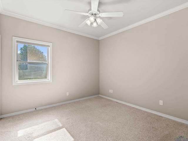 unfurnished room with carpet flooring, crown molding, and ceiling fan