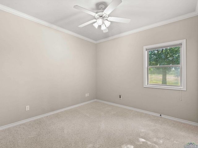 carpeted spare room with ceiling fan and crown molding