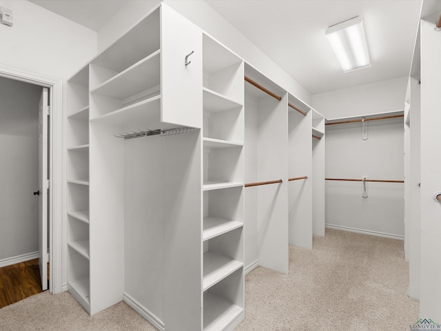 spacious closet featuring light carpet