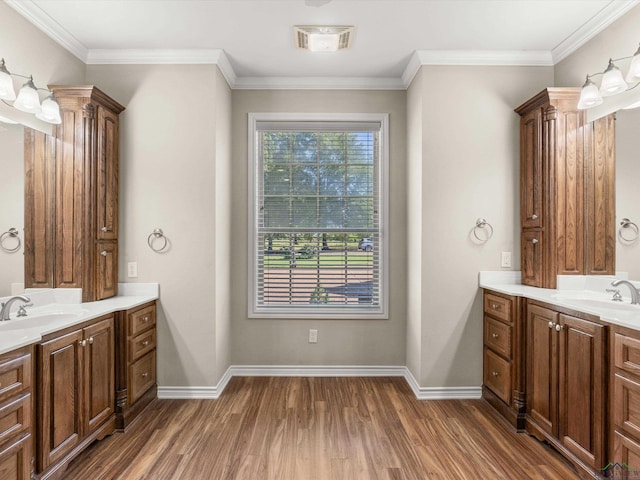 bathroom with crown molding and vanity