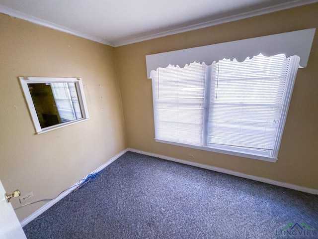 carpeted spare room featuring ornamental molding