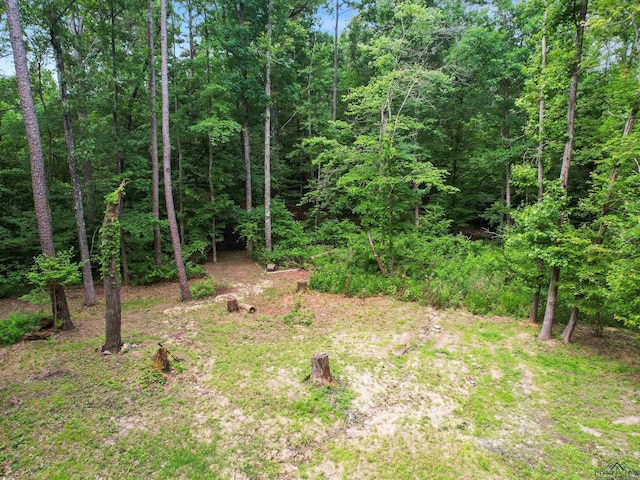 197 Beman Rd, Gladewater, TX 75647