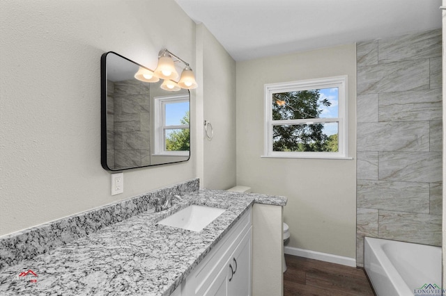 bathroom featuring vanity, wood-type flooring, and toilet