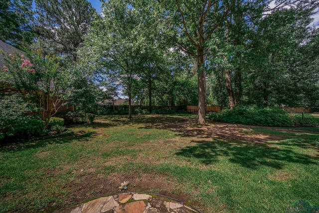7 Summer Creek Way, Longview, TX 75604 - view of yard