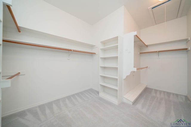 7 Summer Creek Way, Longview, TX 75604 - spacious closet with carpet and attic access
