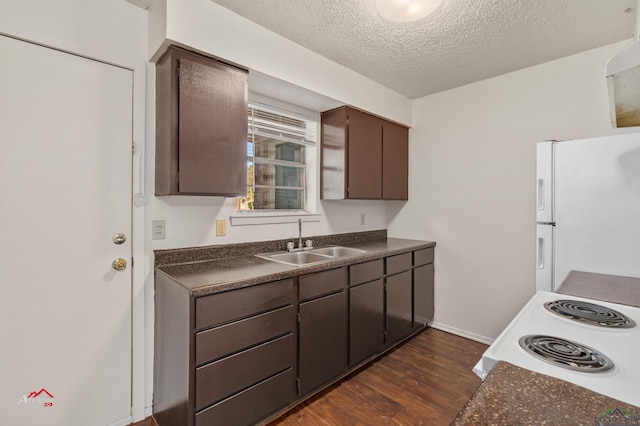 kitchen featuring white appliances, dark wood-type flooring, sink, a textured ceiling, and dark brown cabinetry