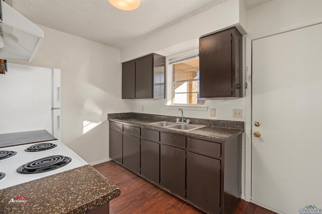 kitchen featuring white appliances, a textured ceiling, dark brown cabinetry, ventilation hood, and sink