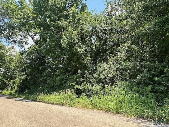 Listing photo 3 for TBD Cherokee Trace, Gilmer TX 75644