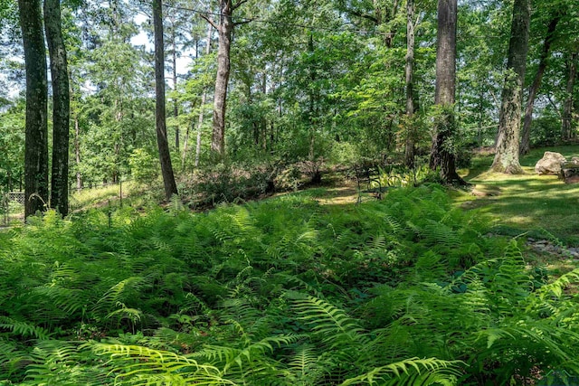 view of nature